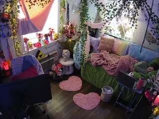 voyeurcam-veccasalt-01 webcam