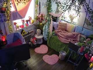 voyeurcam-veccasalt-01 webcam