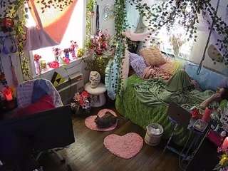 voyeurcam-veccasalt-01 webcam