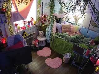 voyeurcam-veccasalt-01