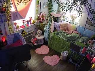 voyeurcam-veccasalt-01 webcam