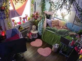 voyeurcam-veccasalt-01 webcam