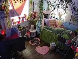 voyeurcam-veccasalt-01 webcam