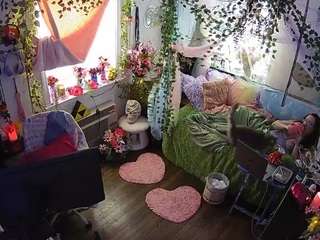 voyeurcam-veccasalt-01 webcam