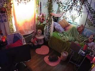 voyeurcam-veccasalt-01