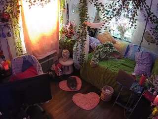 voyeurcam-veccasalt-01 webcam