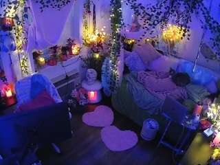 voyeurcam-veccasalt-01 webcam