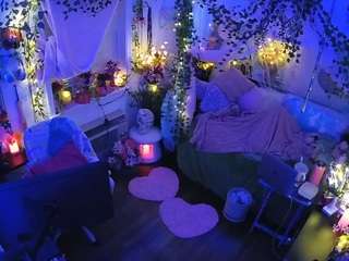 voyeurcam-veccasalt-01