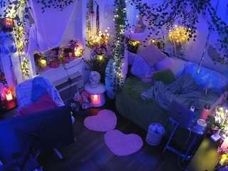 voyeurcam-veccasalt-01