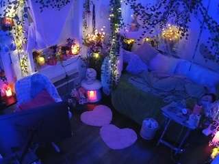 voyeurcam-veccasalt-01 webcam