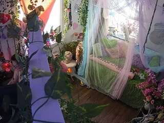 voyeurcam-veccasalt-01 webcam