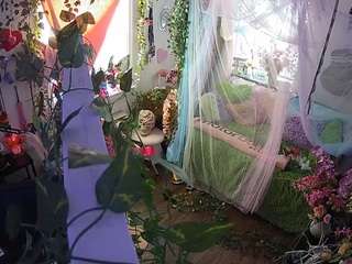 voyeurcam-veccasalt-01 webcam