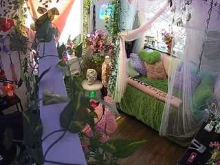 voyeurcam-veccasalt-01 webcam