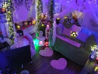 voyeurcam veccasalt 01