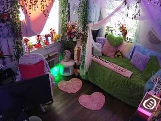 voyeurcam-veccasalt-01