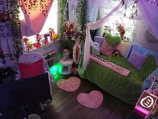 voyeurcam-veccasalt-01 webcam