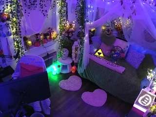 voyeurcam-veccasalt-01