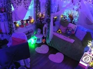 voyeurcam-veccasalt-01