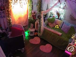 voyeurcam-veccasalt-01 webcam