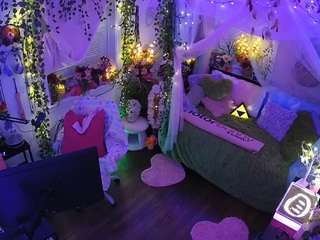 voyeurcam-veccasalt-01 webcam