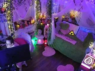 voyeurcam-veccasalt-01 webcam