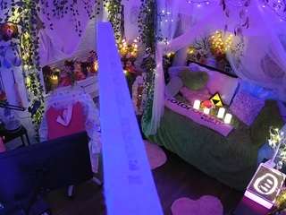 voyeurcam-veccasalt-01 webcam