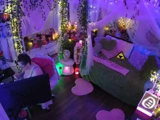 voyeurcam-veccasalt-01 webcam