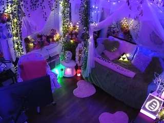 voyeurcam-veccasalt-01 webcam