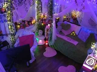 voyeurcam-veccasalt-01 webcam