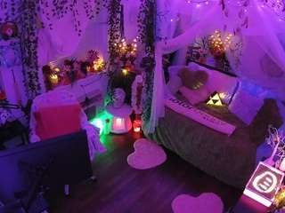 voyeurcam-veccasalt-01 webcam