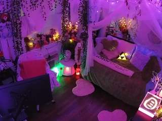 voyeurcam-veccasalt-01 webcam