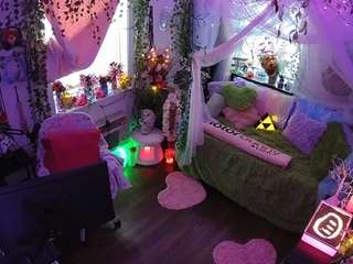 voyeurcam-veccasalt-01