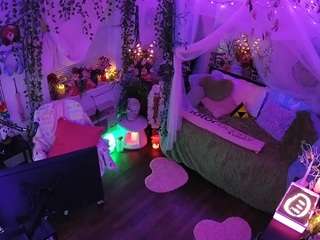 voyeurcam veccasalt 01