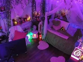 voyeurcam-veccasalt-01 webcam