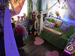 voyeurcam-veccasalt-01 webcam