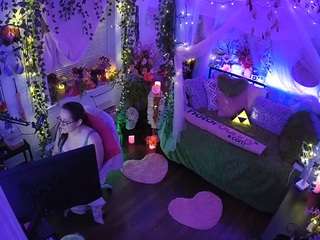 voyeurcam-veccasalt-01