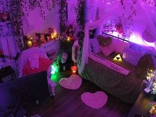 voyeurcam-veccasalt-01 webcam