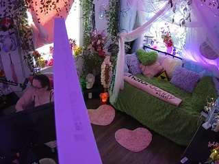 voyeurcam-veccasalt-01 webcam