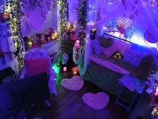 voyeurcam-veccasalt-01 webcam