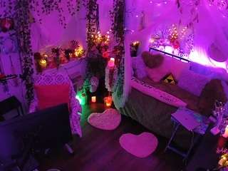 voyeurcam-veccasalt-01 webcam