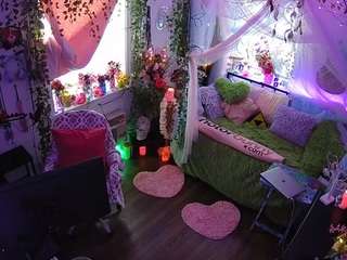 voyeurcam-veccasalt-01 webcam