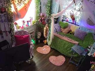 voyeurcam-veccasalt-01 webcam