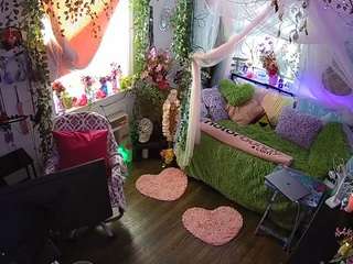 voyeurcam-veccasalt-01