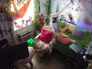 voyeurcam-veccasalt-01 webcam