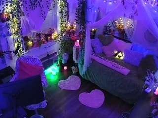 voyeurcam-veccasalt-01 webcam