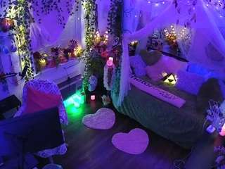 voyeurcam-veccasalt-01 webcam