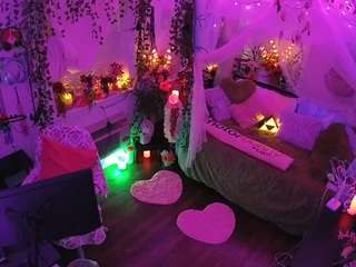 voyeurcam-veccasalt-01 webcam