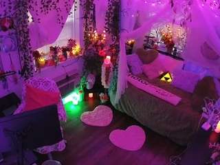 voyeurcam-veccasalt-01 webcam