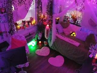 voyeurcam-veccasalt-01 webcam