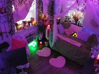 voyeurcam-veccasalt-01 webcam